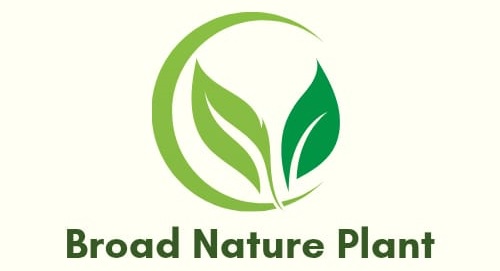 Broad Nature Plant Logo